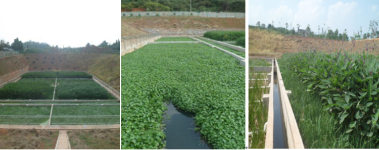 攸縣無動(dòng)力農村生活污水處(chù)理項目