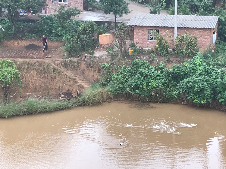 常甯水口山經濟開發(fā)區重金屬廢水深度處(chù)理運營項目