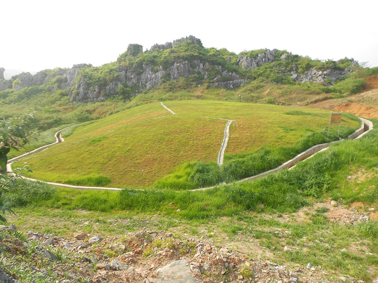 東安縣電(diàn)解錳及銻冶煉曆史遺留廢渣安全處(chù)置及生态恢複工程