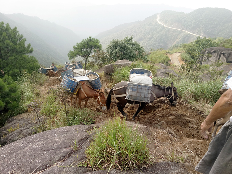 甯(níng)遠縣九嶷山原鉛鋅礦(kuàng)區域尾砂綜合治理工程