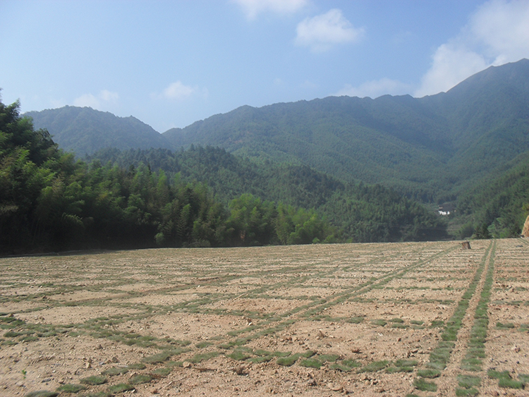 北湖區(qū)芙蓉鄉鐵婆岩、瓦渣池礦(kuàng)區(qū)重金屬污染治理工程