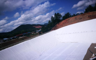 湖南某鉛鋅礦(kuàng)重金屬污染渣土安全處(chù)置工程