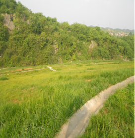 某錳礦區生态恢複案例