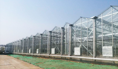 衡水市污泥集中處(chù)置工程一期項(xiàng)目