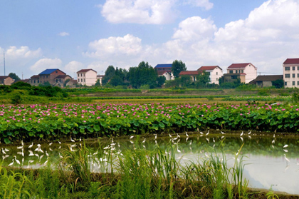 【美麗(lì)鄉村·農環(huán)綜合整治】湖北丹江口市農環(huán)項目